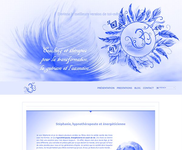 création de site internet montpellier et webmarketing montpellier, Aire Digitale