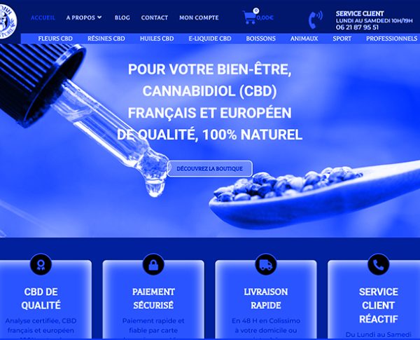 Création de site e-commerce à montpellier
